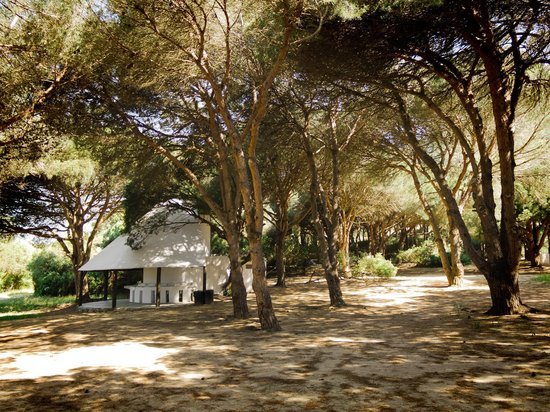 Lugar Camping Camaleón