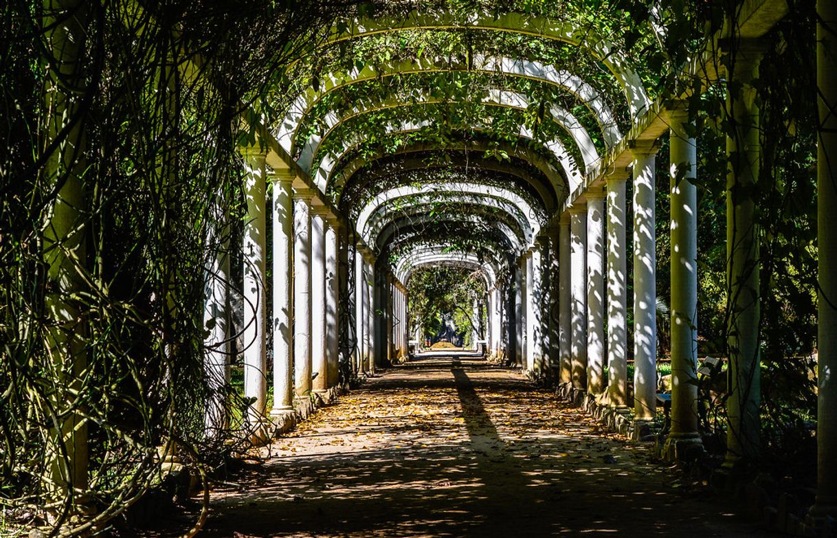 Lugar Jardim Botânico