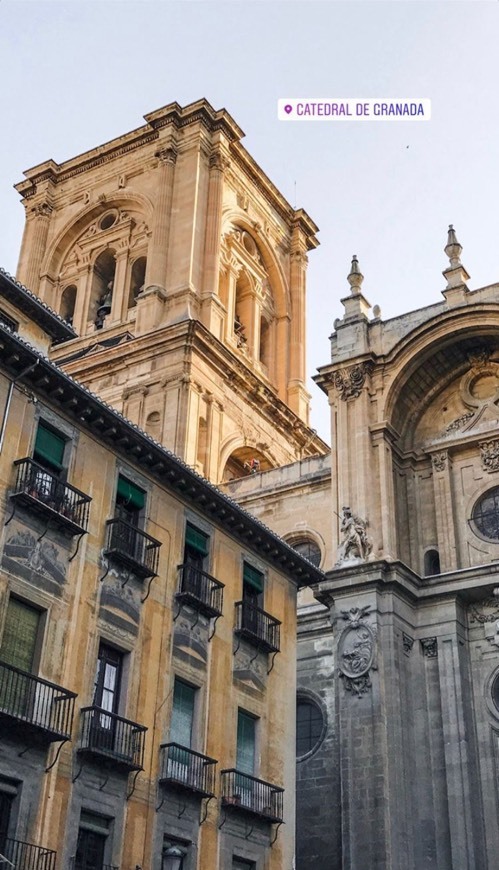 Place Catedral de Granada