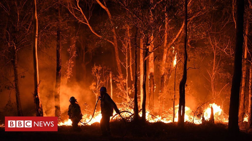 Fashion Australia fires: A visual guide to the bushfire crisis - BBC News