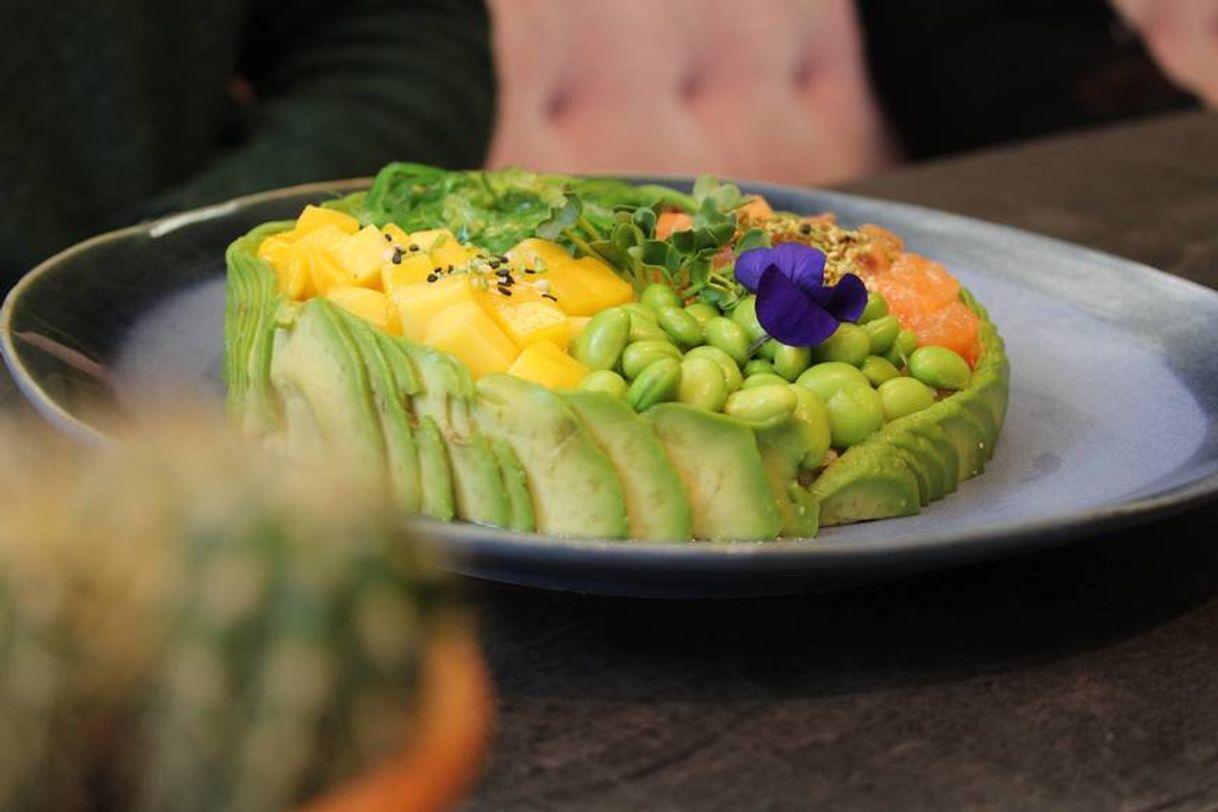 Restaurantes The Avocado Show