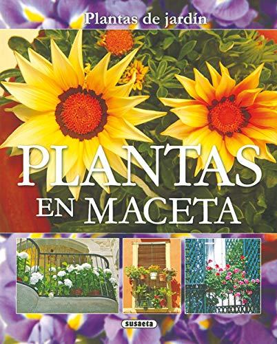 Social Plantas En Maceta