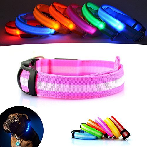 Social Mejor Perro visibilidad y seguridad – USB Batería LED perro seguridad Collar