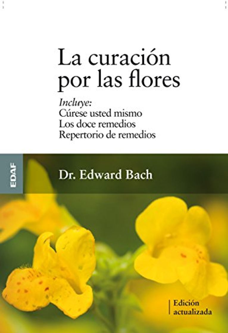 Libros Curacion Por Las Flores