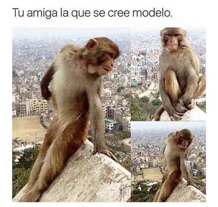 Mono