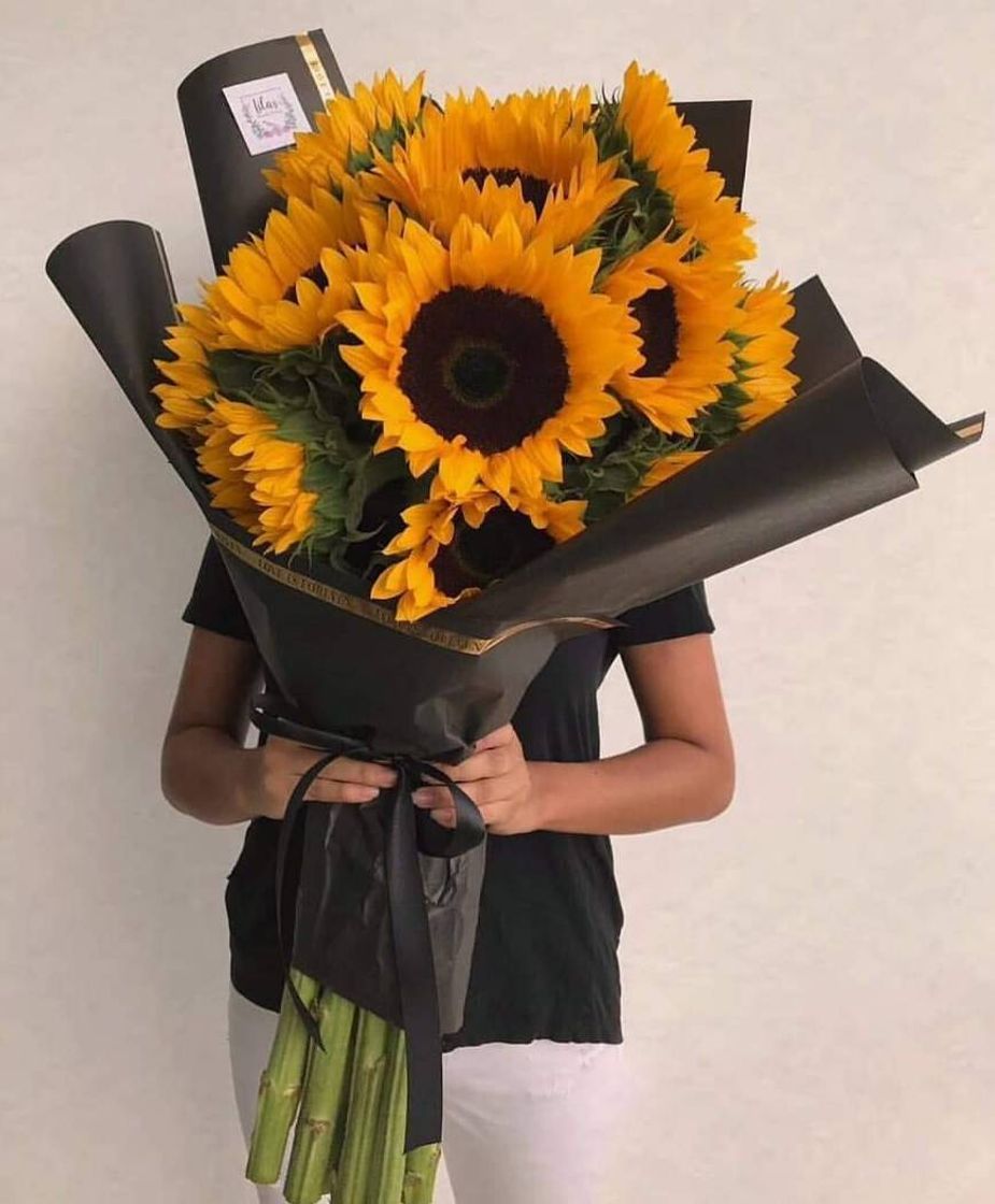 Moda Arreglo de Girasoles 