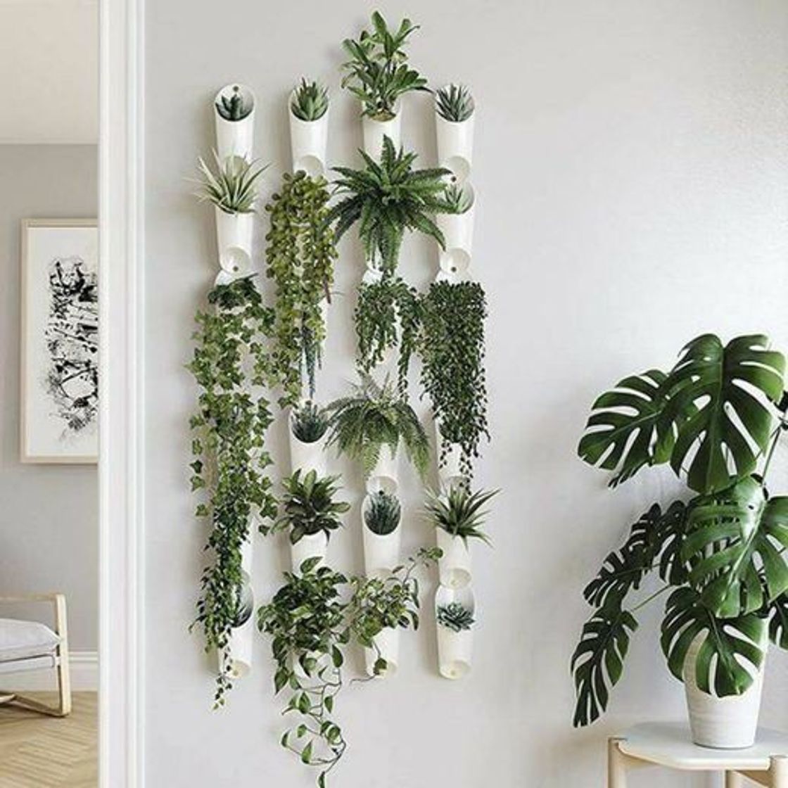 Social Estantes para plantas