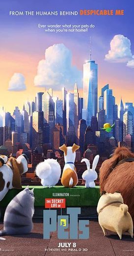 Película Mascotas
