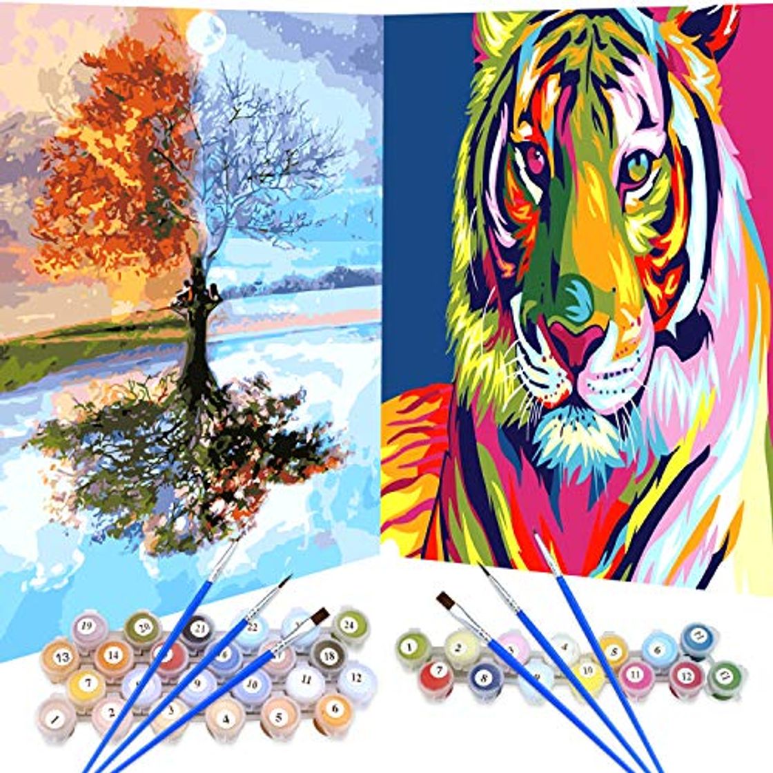 2 Set Pintar por Numeros para Adultos Niños Pintura por Números con