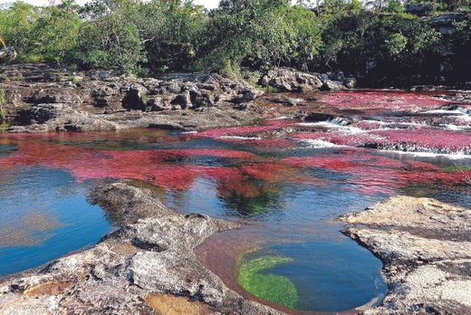 Caño Cristales