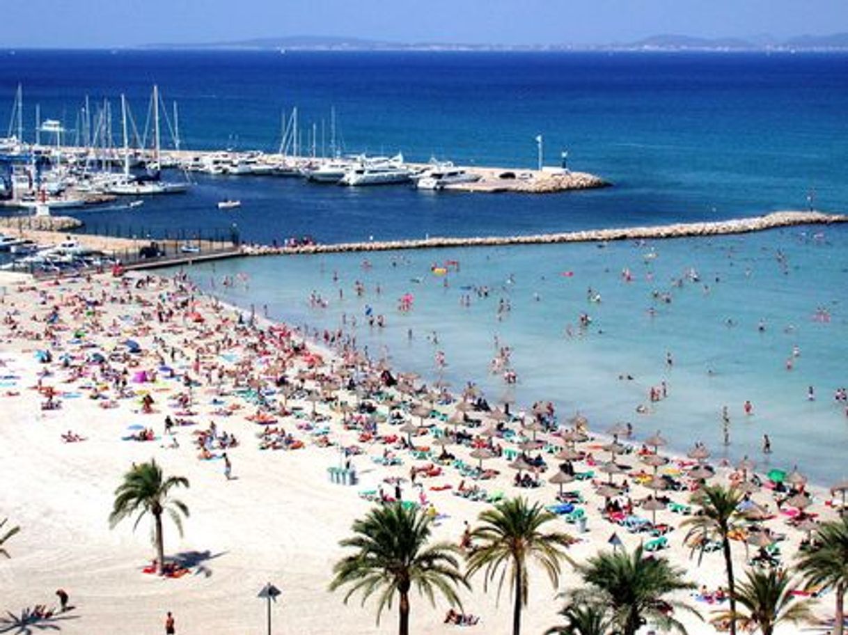 Lugar El Arenal