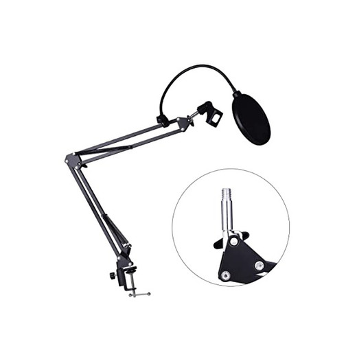 Professional Microphone Stand with Pop Filter
