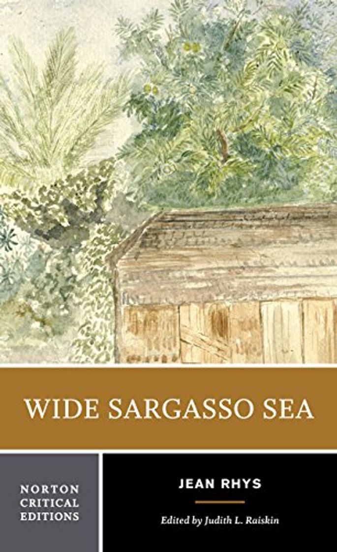 Libro WIDE SARGASSO SEA: Backgrounds, Criticism: 0