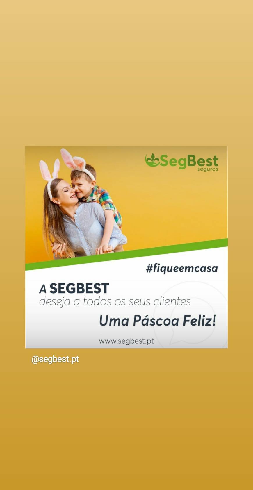 Social Segbest | Seguros