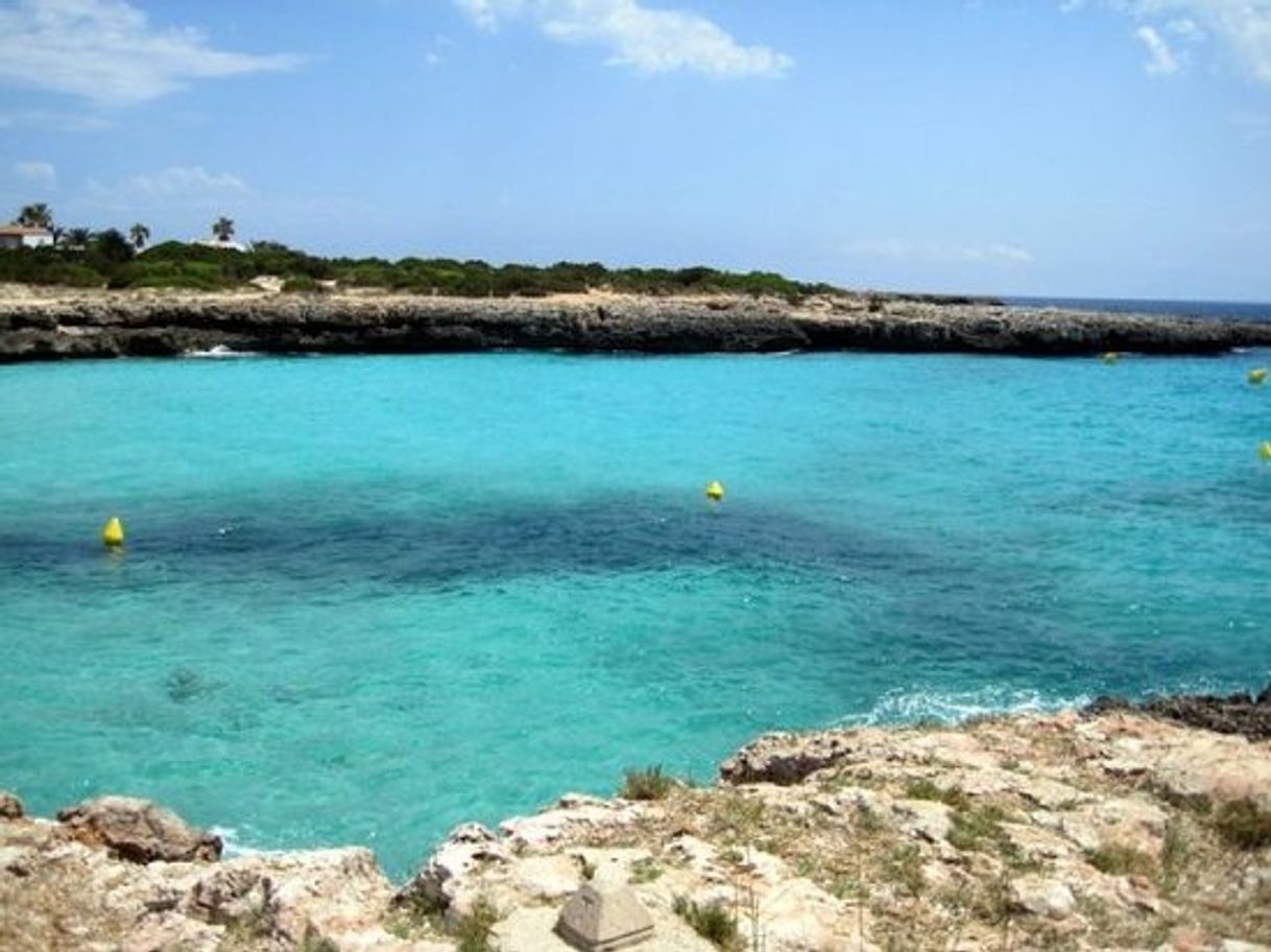 Place Cala en Bosc