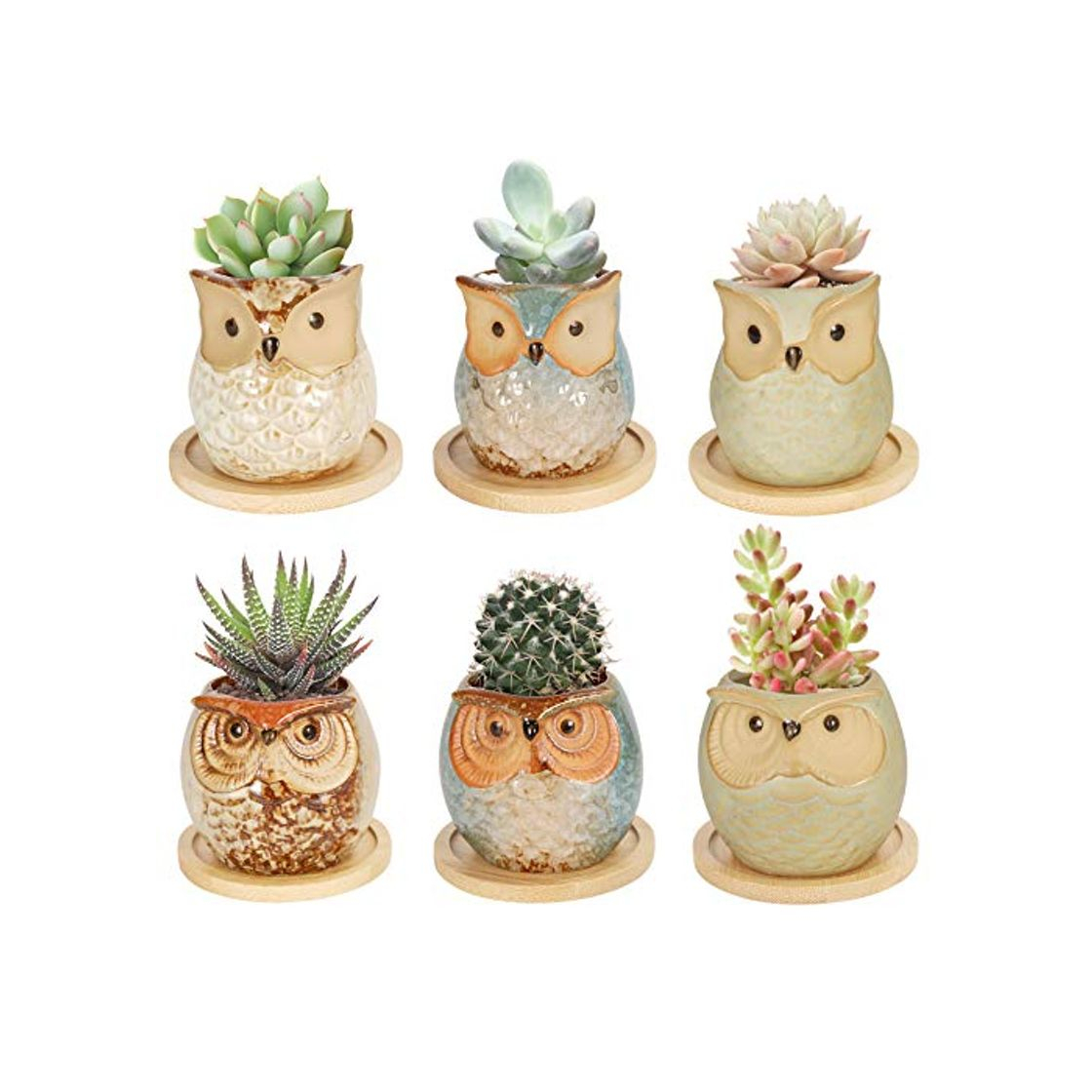 Product Colmanda 6 Pack Mini Macetas Ceramica, Búho Macetas para Cactus de Cerámica,