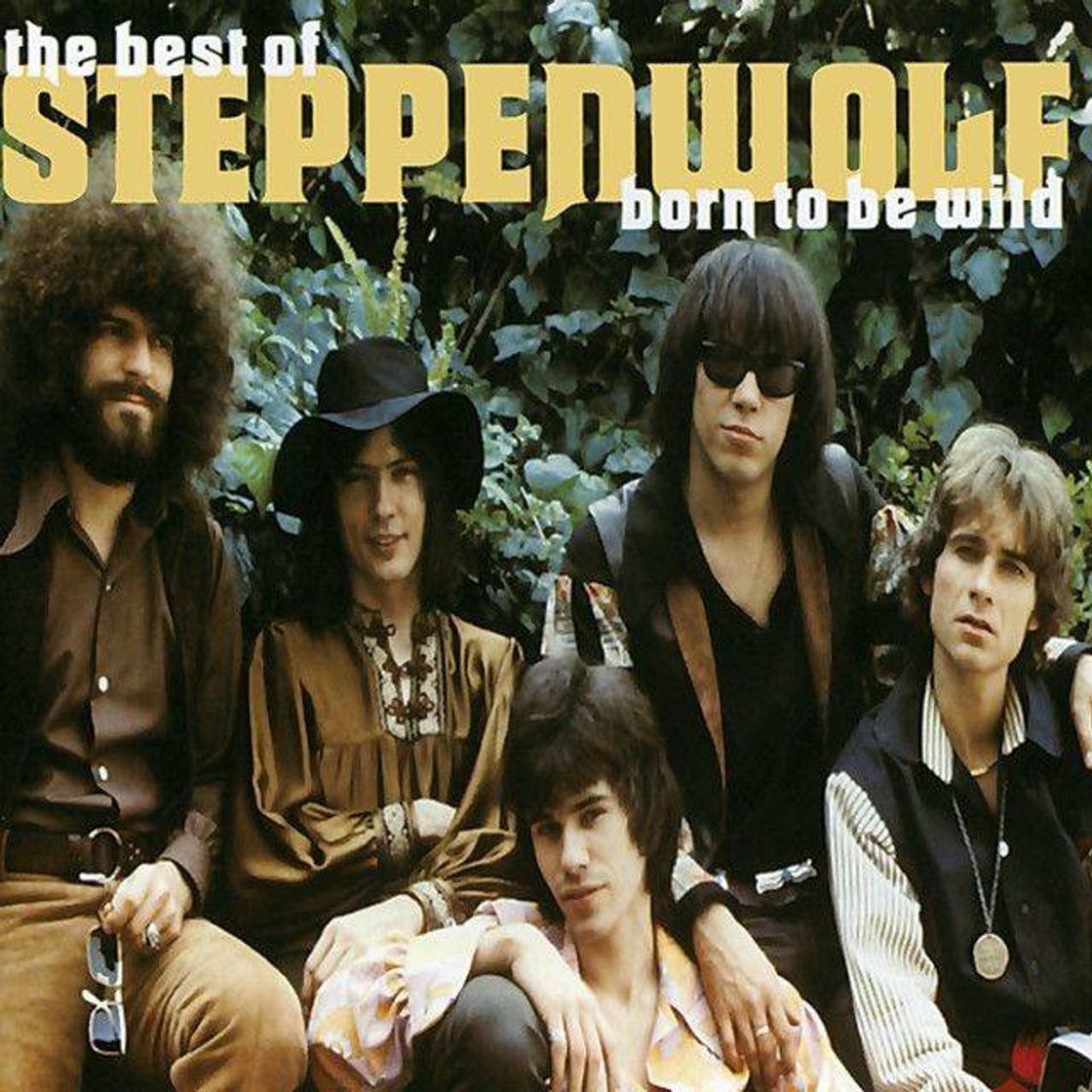 Social Steppenwolf🤘🎸🎸🎸