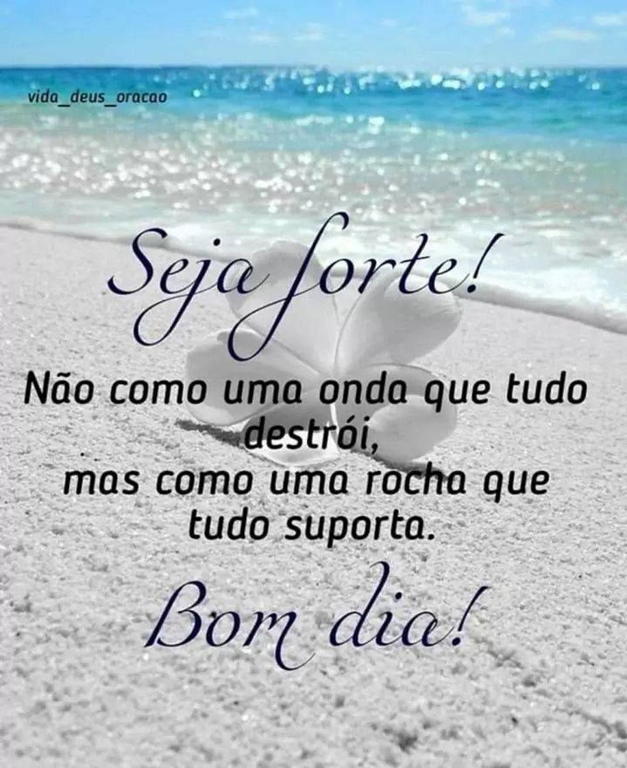 Social Bom dia 