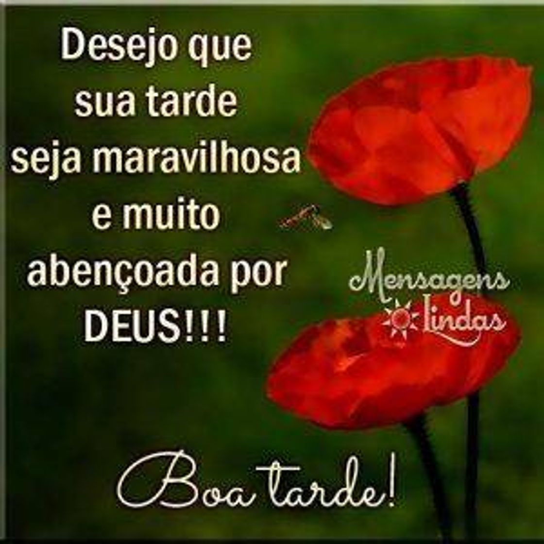 Social Ótima tarde abençoada 
