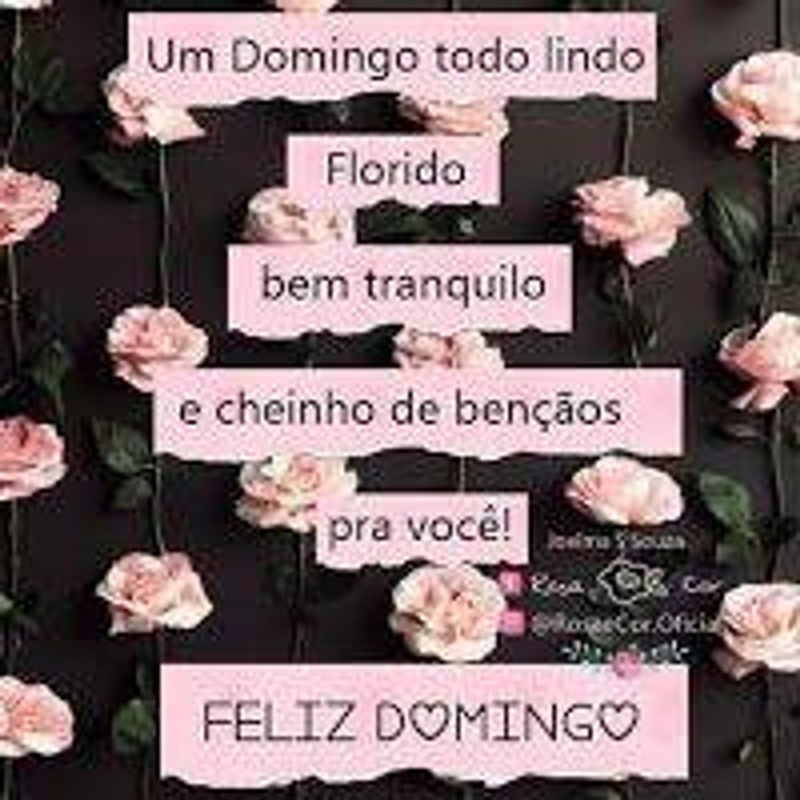 Social Bom dia 