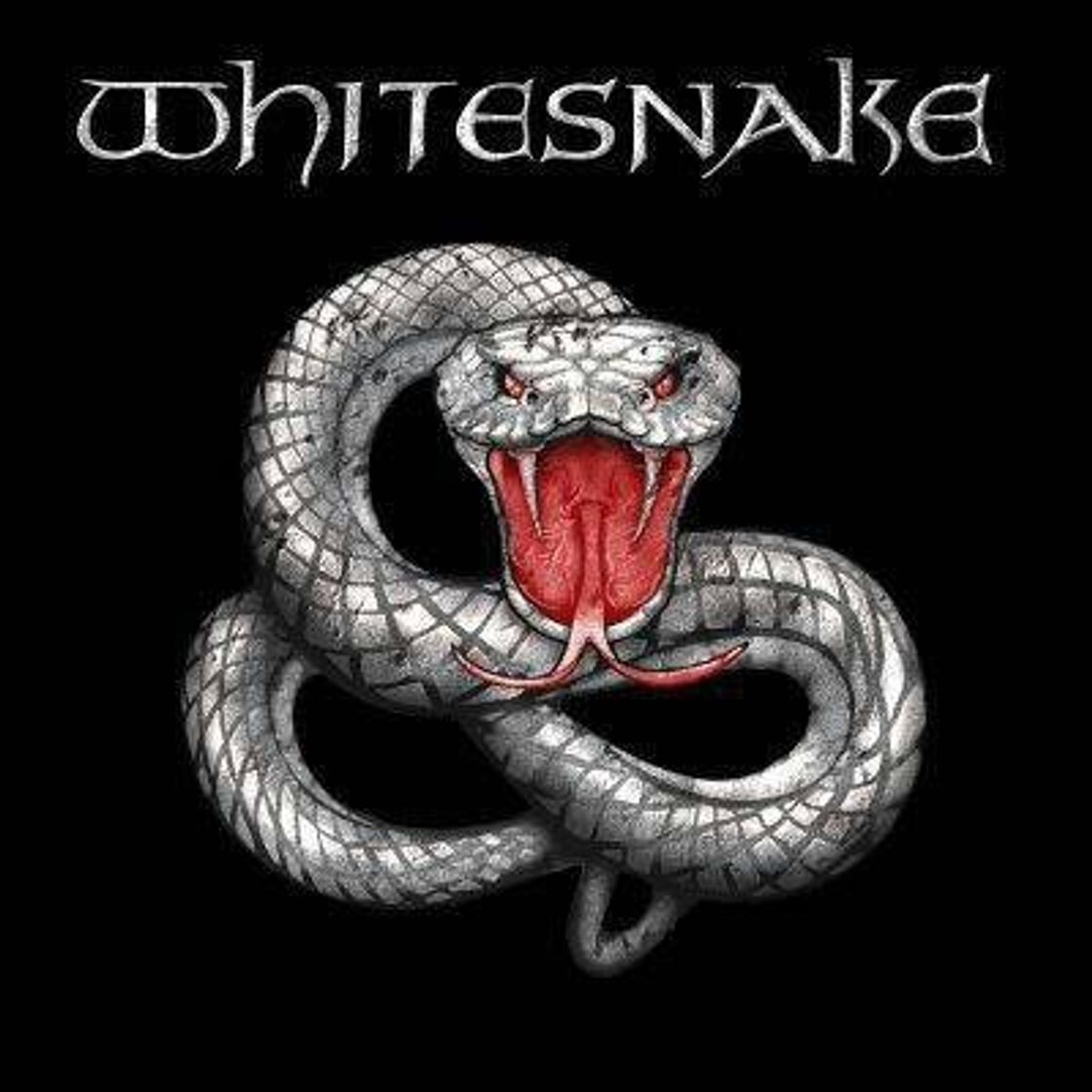 Social Whitesnake