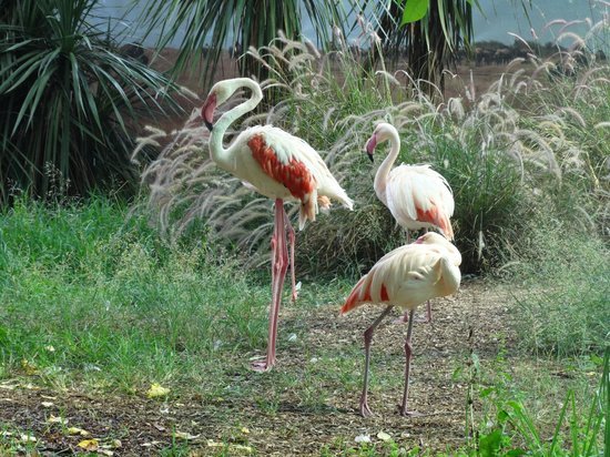 Lugar Parque Biológico de Gaia