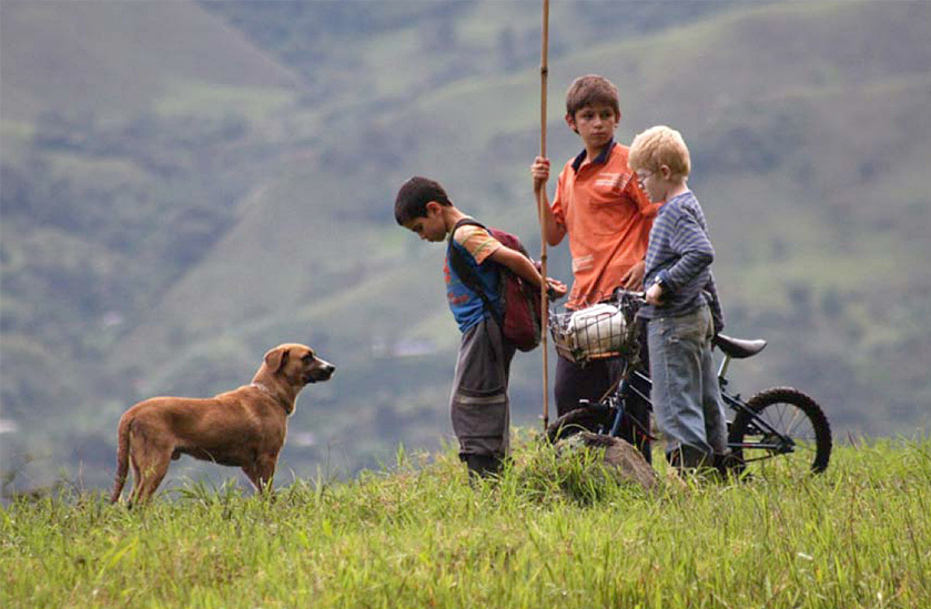 Película Los colores de la montaña
