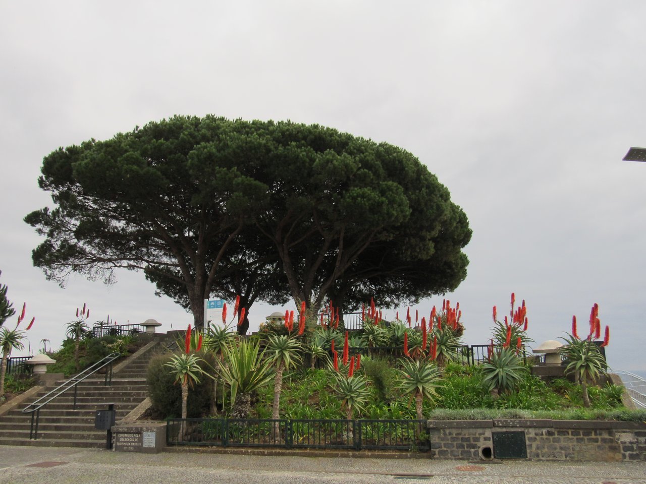 Lugar Miradouro Pico dos Barcelos - Madeira