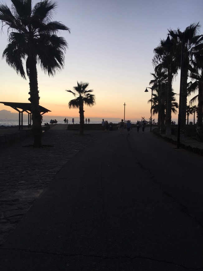 Place Playa de las Américas