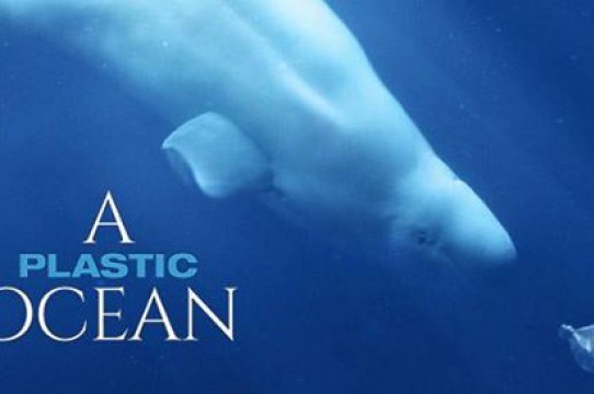 Fashion A Plastic Ocean | Netflix