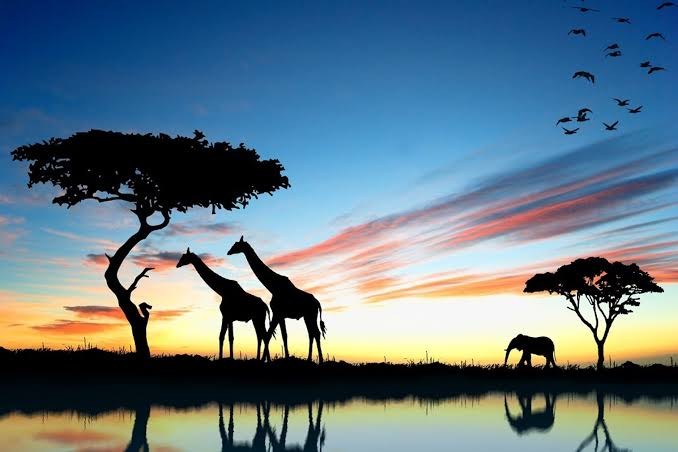 Africa do Sul | Turismo 