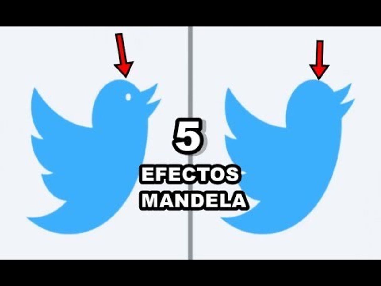 Social Twitter nunca existio con ojo