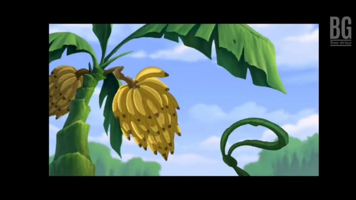 Social Prueba real de q los platanos crecian hacia abajo👇🏼👇🏼