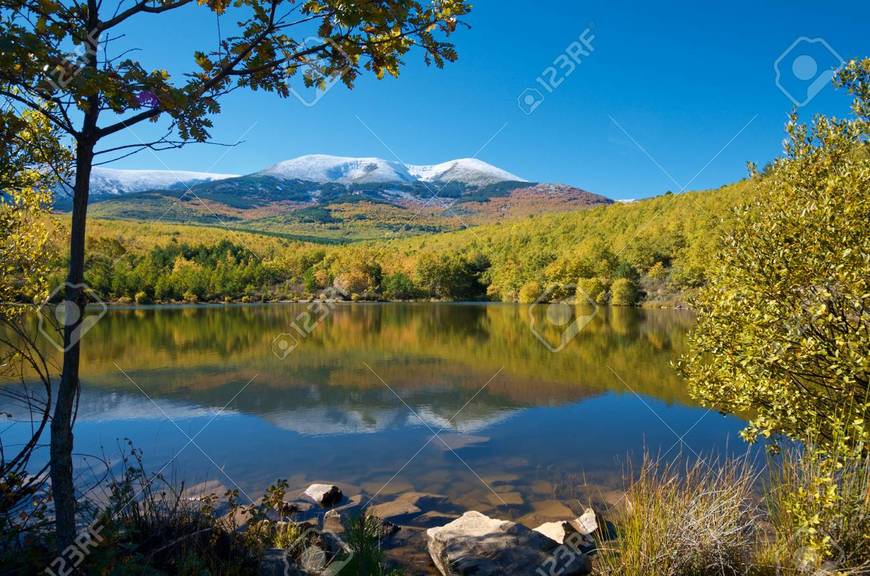 Lugar Moncayo Natural Park