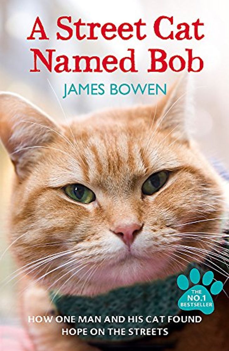 Libro A Street Cat Named Bob