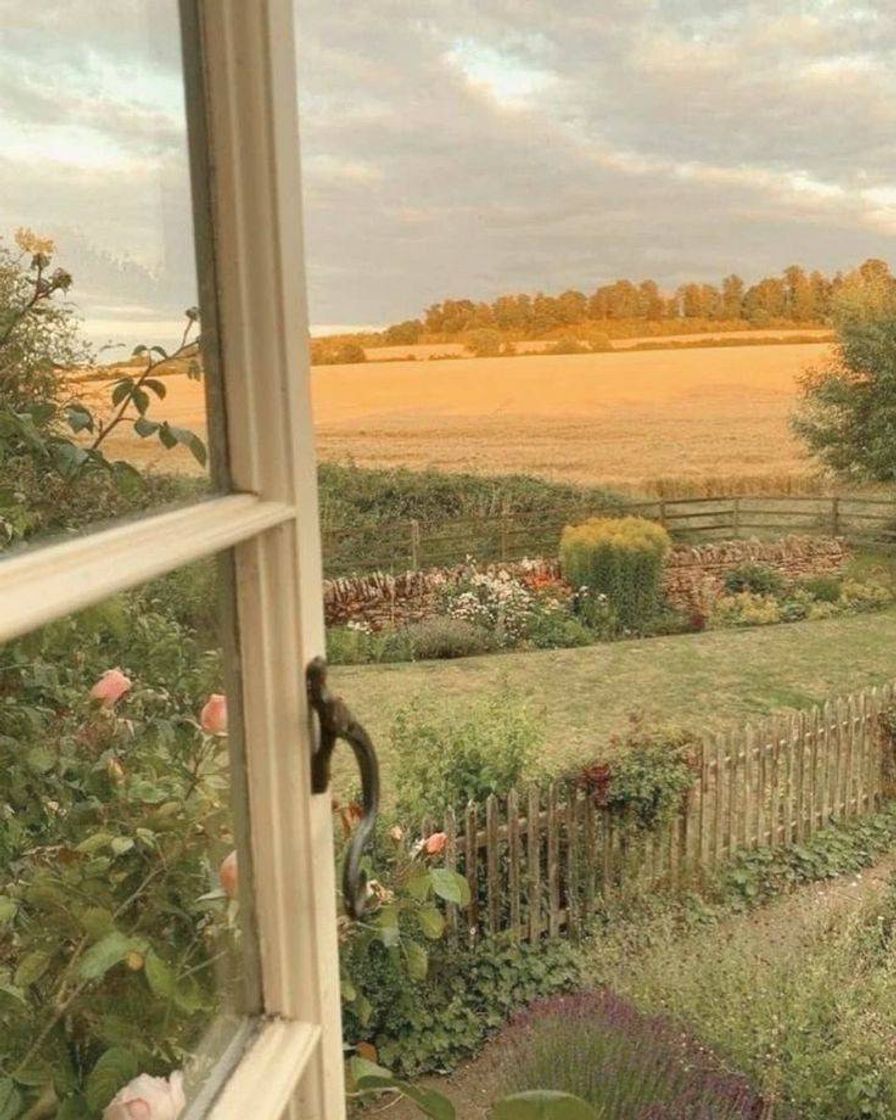 Social sem mais surpresas