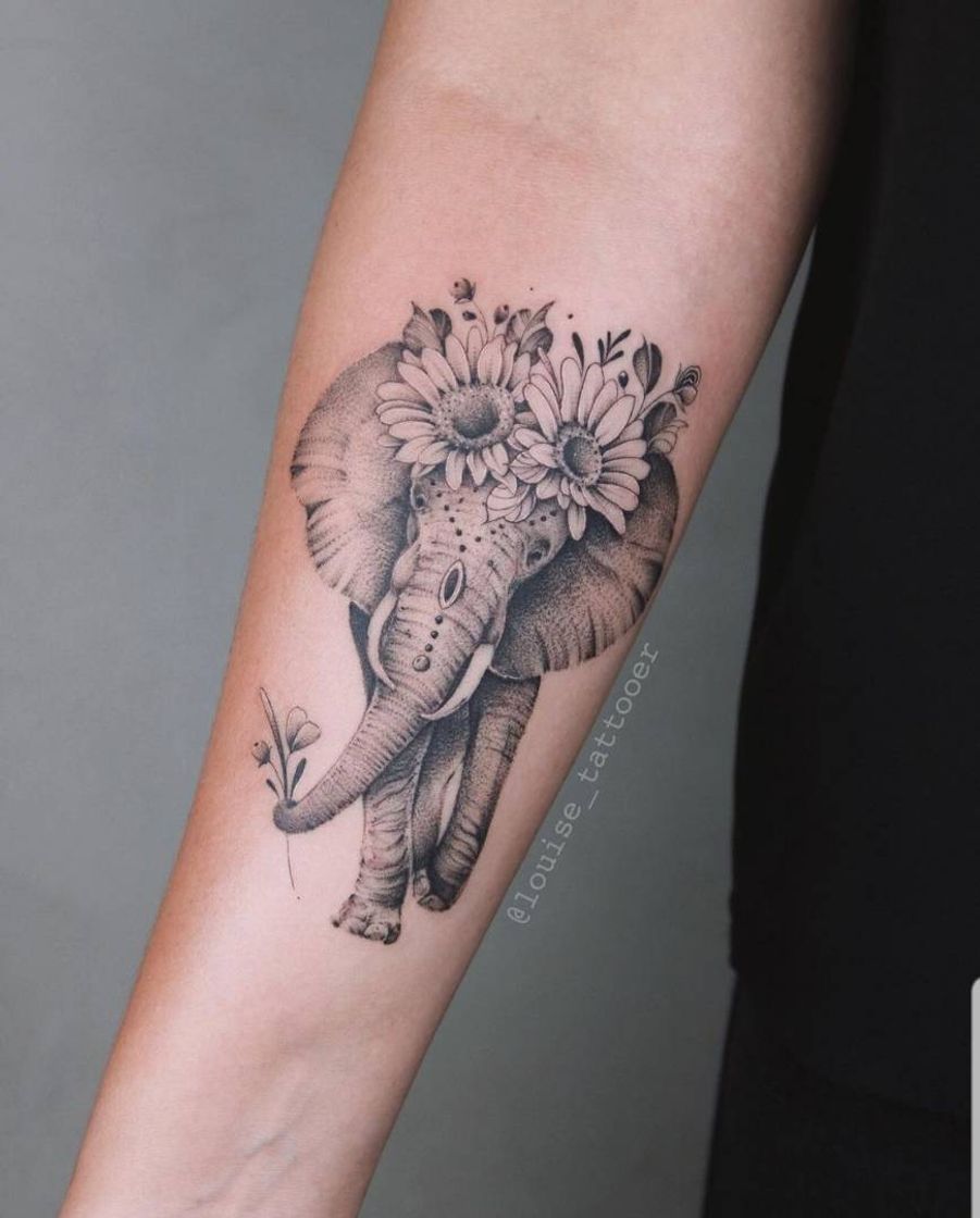 Moda Tatoo Elefante