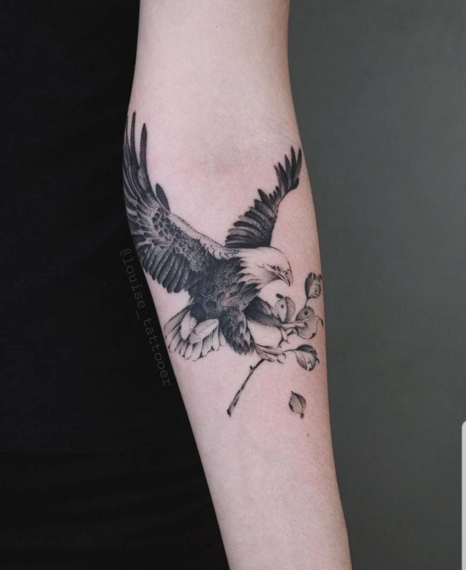 Social Tatoo de Águia 