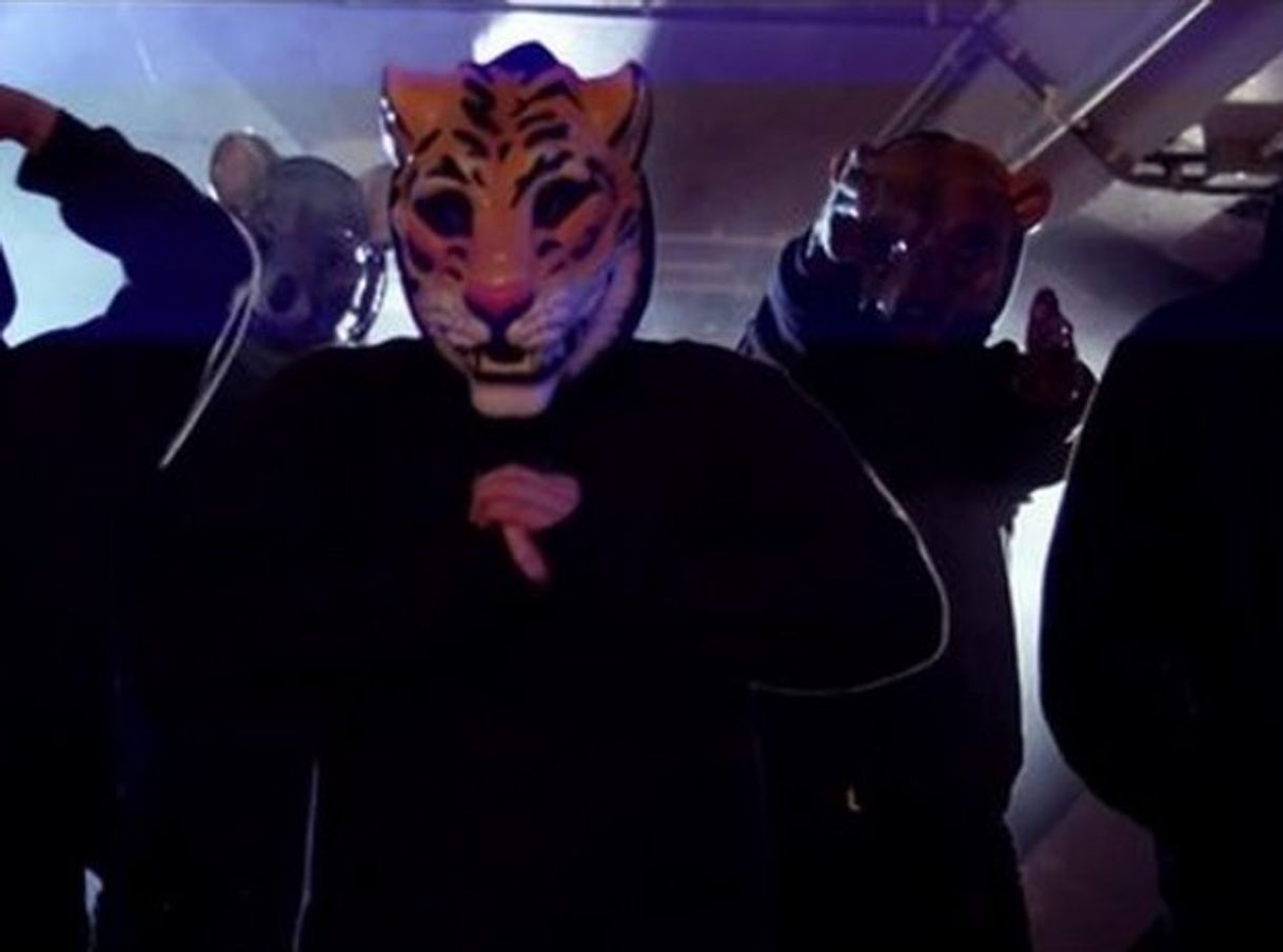 Music Animals