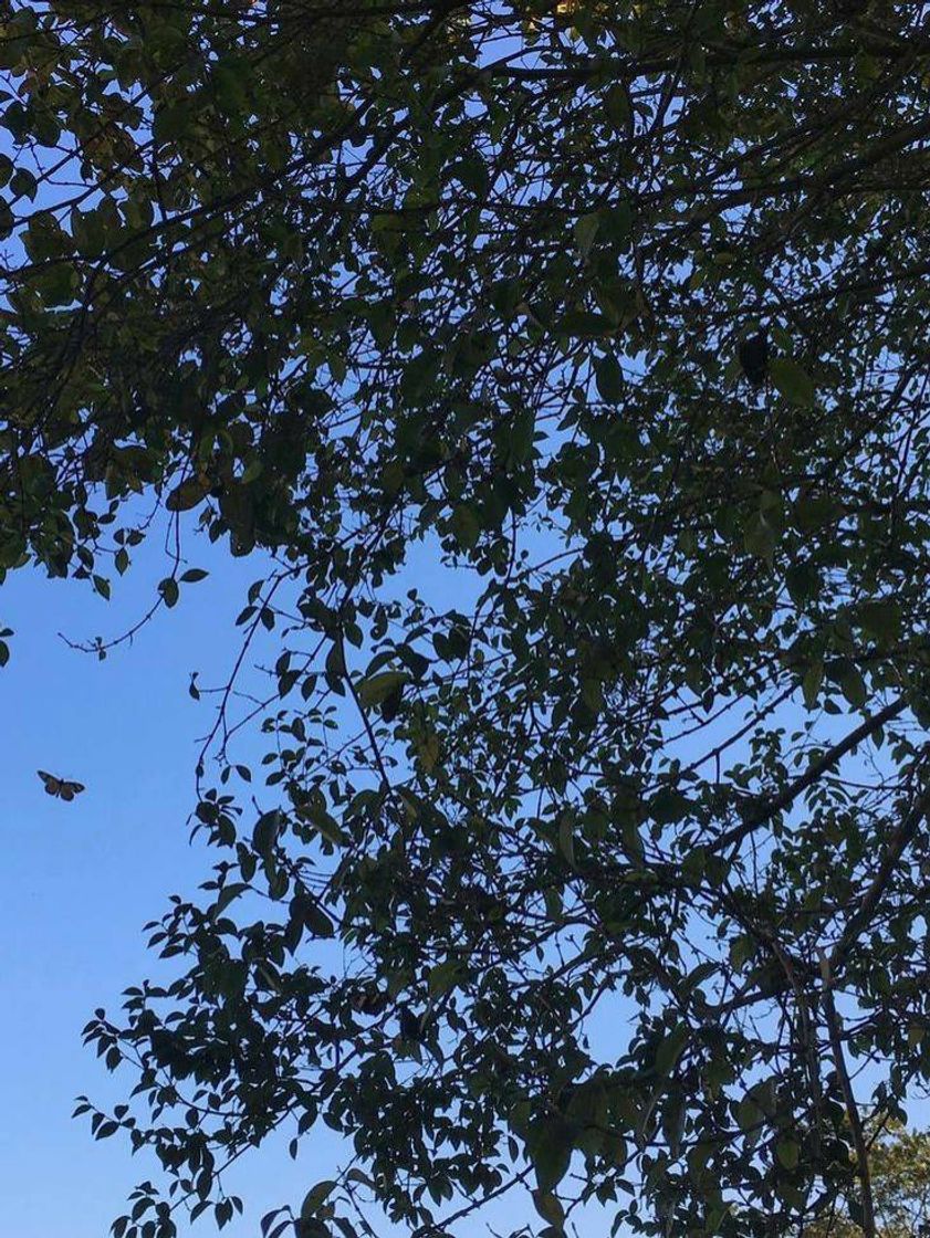 Moda Fotos de céu para usar