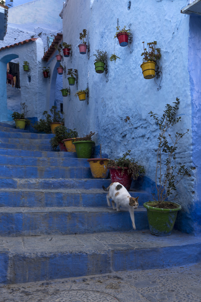 Place Chefchaouen