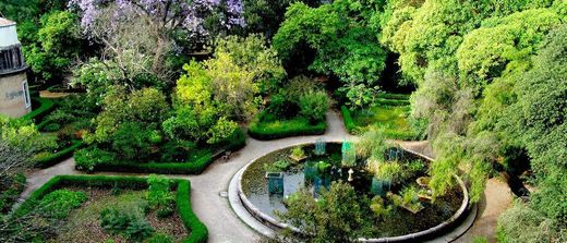 Jardín Botánico de la Universidad de Lisboa