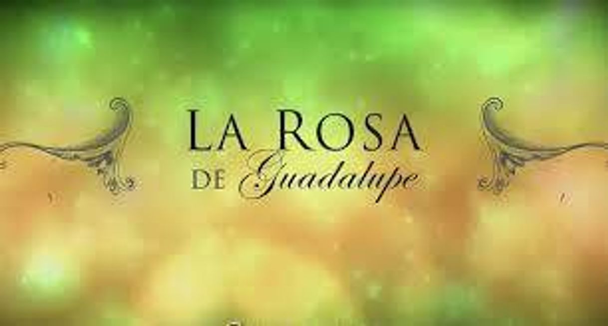 Serie La rosa de Guadalupe