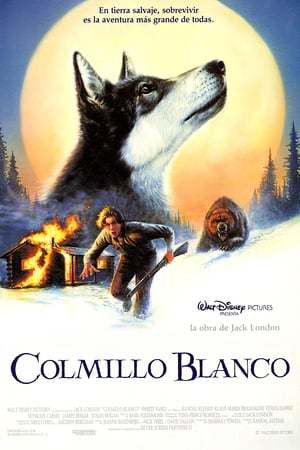 Película Colmillo blanco