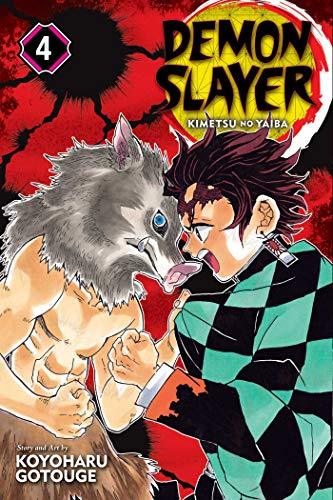 Libro Demon Slayer