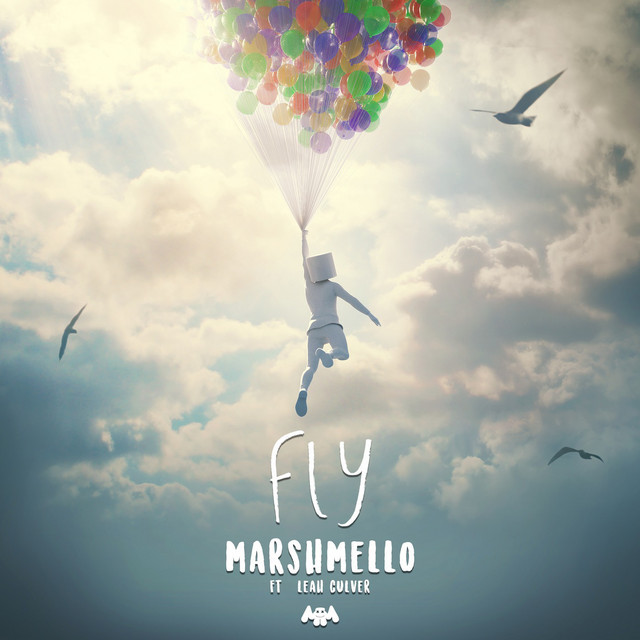 Canción Fly