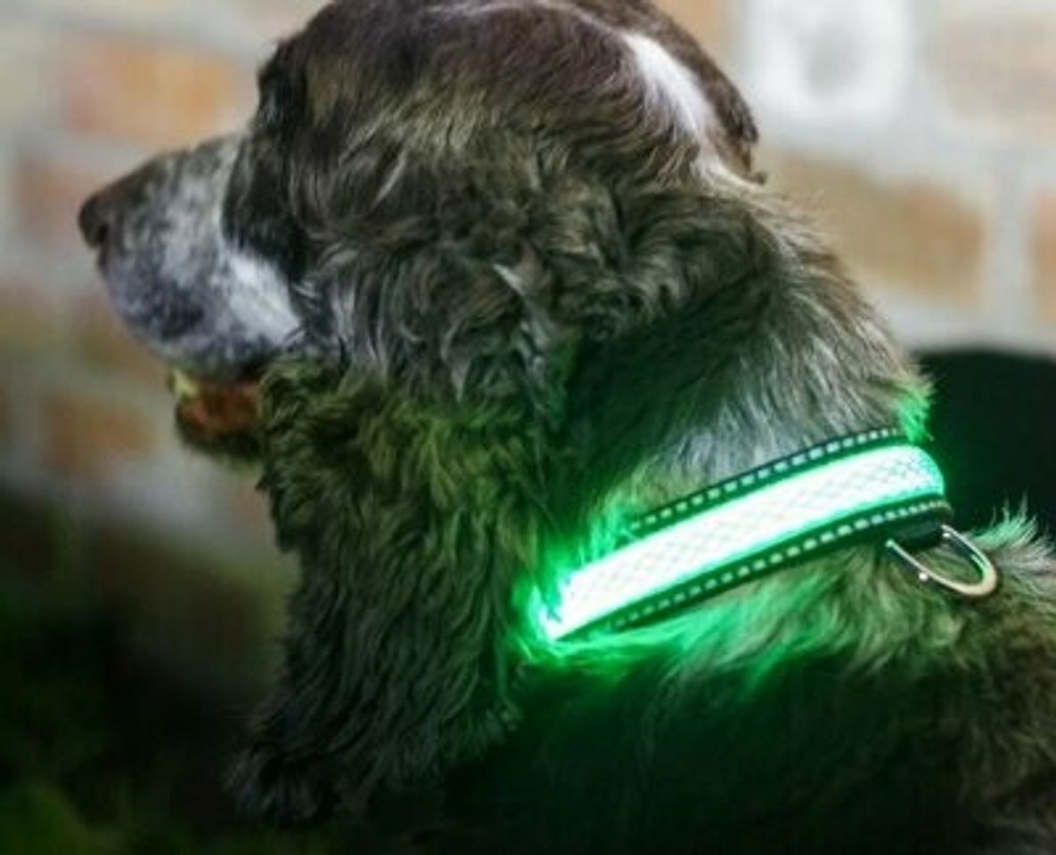 Productos Collar led para mascotas con luz verde