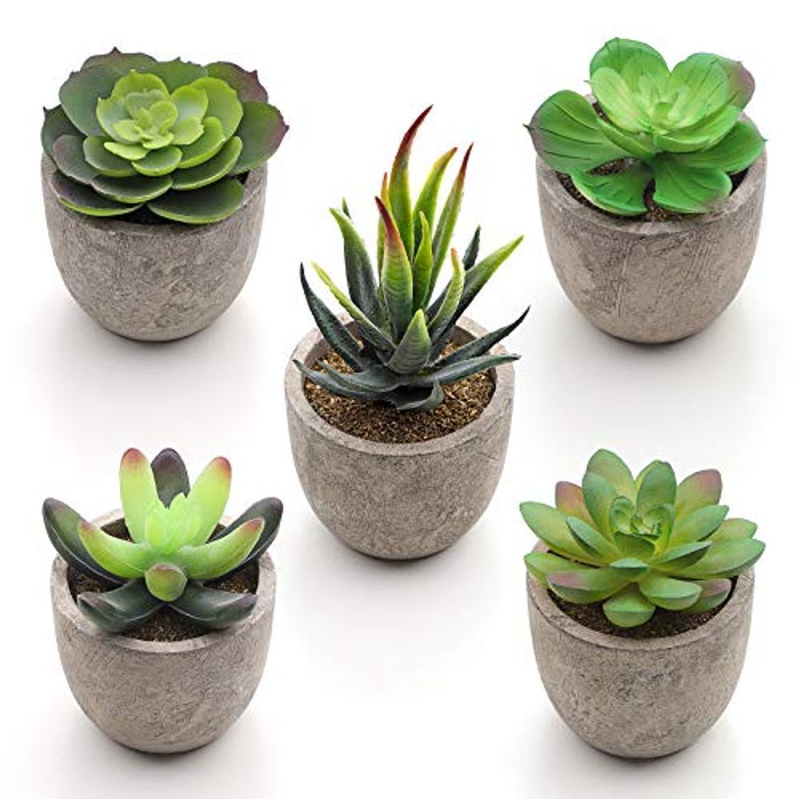 Social SONGMICS Plantas Suculentas Artificiales en Maceta