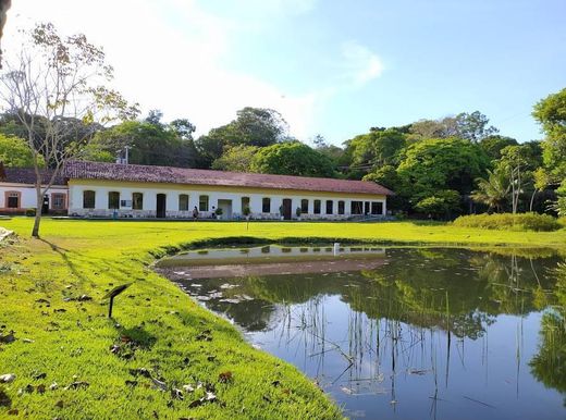 Jardim botânico Benjamim Maranhão