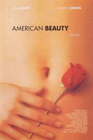 American Beauty